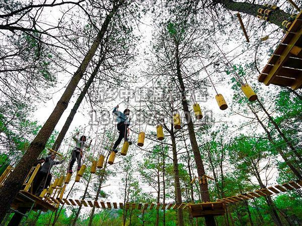 叢林穿越設備的搭建對環境有影響嗎？